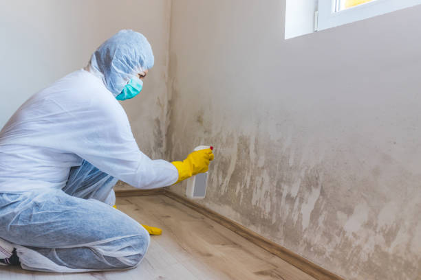 Mold Remediation specialist working in Hillsboro
